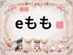 専用