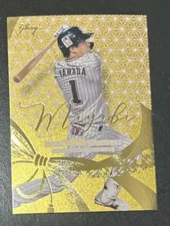 山田哲人 ゴールドカード 30/50