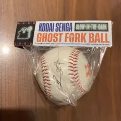千賀滉大　直筆サインボール　(現ニューヨークメッツ) 千賀滉大 直筆サインボール 千賀滉大選手＃34 NYメッツ直筆Kanji