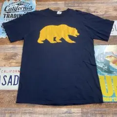 Champion Tシャツ　L クマ　ベアー