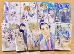 消えた初恋 全9巻セット
