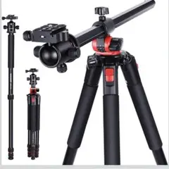 Item thumbnail for item 0b5622bd-64d8-42b3-9459-40cb1a32ec04