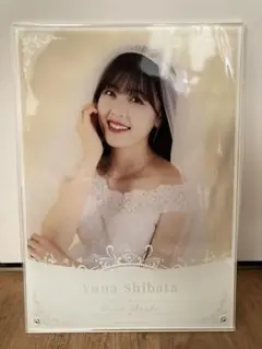 乃木フェス 柴田柚菜　直筆サイン入りウェディングボード 乃木フェス 柴田柚菜 直筆サイン入りウェディングボード 乃木