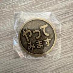 運命のコイン1点 やってみます↔無理です