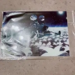 ニーアオートマタ　オリジナルアクリルアートパネル　エポスカード　特典