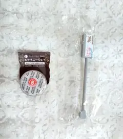 レジン材料　マグネットパウダー(シャイニーウェイ)&マグネットセット