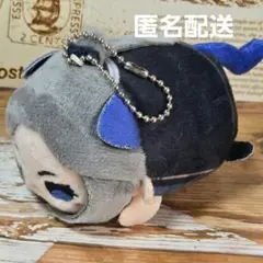 2025年最新】天官賜福 ぬいぐるみ 磁力賞の人気アイテム - メルカリ