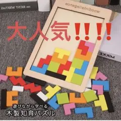 【大人気‼️】パズル 木製パズル 知育パズル 知育 おもちゃ 玩具 知育玩具 学ぶ