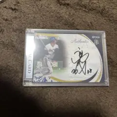 Item thumbnail for item cc307e02-0369-45fb-bbf6-4b6aa8114618