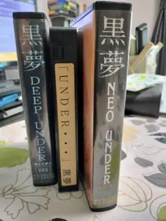 Item thumbnail for item f066c569-5341-4d6d-921b-c4e1c826e796