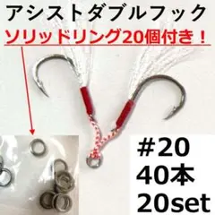 アシストダブルフック20セット/20# ソリッドリング付き