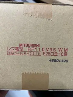 レフ　電球10個入り