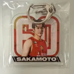 Ｂリーグ 名古屋ダイヤモンドドルフィンズ 坂本聖芽