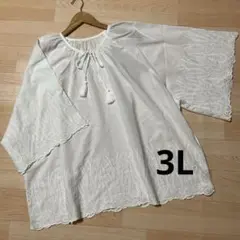 la*fite（ラ・フィット）綿100％ 刺繍入りチュニックブラウス 3L