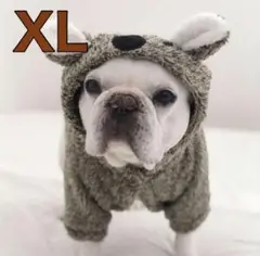 Item thumbnail for item 0d9c6593-24da-4332-8a39-03ac22b783fe