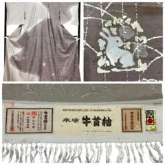 牛首紬 白山工房 市川純一郎 付下げ訪問着 染分け 草文 花兎 証紙 イ5825