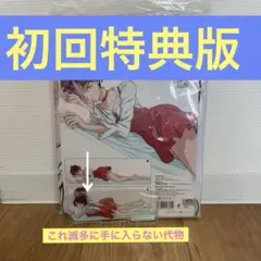 新品未開封 初回特典版 初回版ゲゲゲの鬼太郎 ねこ娘添い寝抱き枕クッションカバー Amazon | ゲゲゲの鬼太郎 ねこ娘 添い寝抱き枕カバー 初回特典版