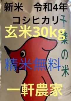 新米 令和4年産 コシヒカリ玄米30kg 千葉県一軒農家生産 産地直送