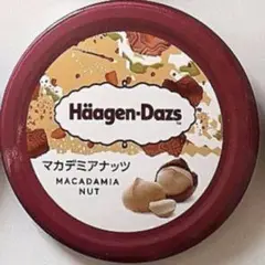 ハーゲンダッツ　缶バッチ（マカデミアナッツ）