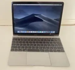 MacBook 8.1 MJY32J/A 256GB SSD 2015年