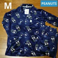 Item thumbnail for item 831cc5d8-360c-433d-8b65-34c40712f81d