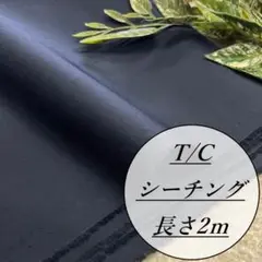 Item thumbnail for item 75bb79d5-76ad-4dde-a831-fec72f6596b8