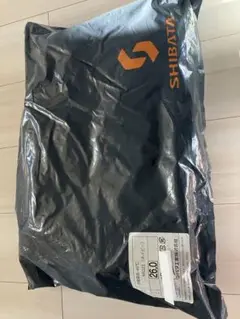 Item thumbnail for item 784b1131-fbeb-46f5-b3fb-784a026af3ee