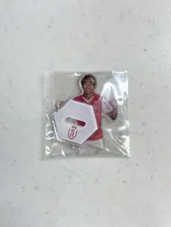スタッド・ランス 関根大輝 アクリルスタンド