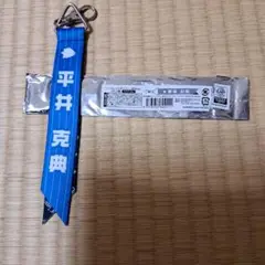 埼玉西武ライオンズ 蒼空シリーズ シークレットボンフィン　平井克典選手
