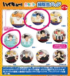 ハイキュー!! カラパレ 掃除缶バッジ （及川徹・影山飛雄）