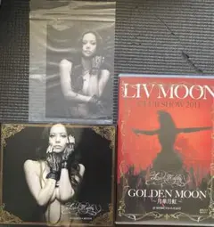 (未使用･未開封品)LIV MOON CLUB SHOW 2011 GOLDEN MOON~月華月虹~ [DVD] Amazon.co.jp: THE END OF THE BEGINNING - LIV MOON: ミュージック