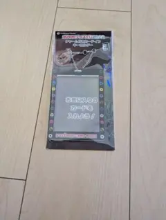 ポケカグッズくじ2022 E賞 カードインキーホルダー