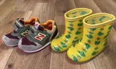 Item thumbnail for item c95cb583-cd5e-485e-9cb1-cf266a29e7f8