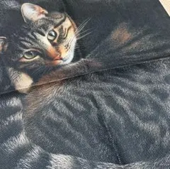 【‼️残りわずか‼️】猫の雑貨　インテリア　かわいい　クッションカバー　キジ猫