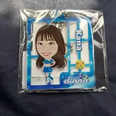 横浜 DeNA ベイスターズ diana kana アクキー