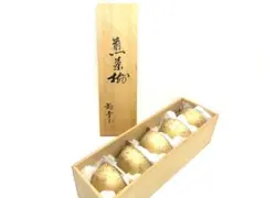 Item thumbnail for item b691445c-d886-4281-ad19-4d22488cd4a6