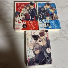 シヲニエッタ作品セット
