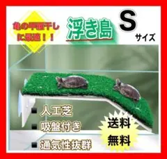 かめ 亀 浮島 日向ぼっこ お散歩 飼育 ペット Sサイズ かわいい かめさん