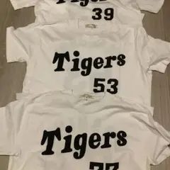 阪神タイガース　Tシャツセット　フリーサイズ