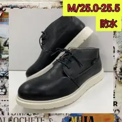 Item thumbnail for item a63c23a9-9c30-43f5-a2ff-6585c4cee3b2