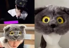 G-DRAGON ジヨンモデル　キャット　被り物