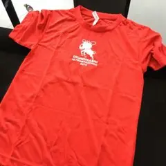 OKUMUSASHI ULTRAMARATHON 2015 Tシャツ SS