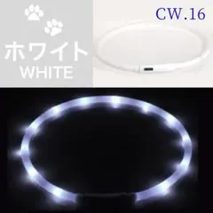Item thumbnail for item 54bad934-9cdd-4421-8193-29c8551478f3