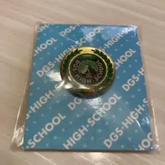 DGS high school ピンズ