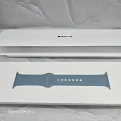 未使用 貴重Apple純正 アップルウォッチ 40mm カクタス スポーツバンド
