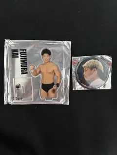 トレーディング　缶バッジ　アクリルスタンド　プロレスリング・ノア　カイ・フジムラ