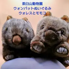 茶臼山動物園　ウォンバット　ぬいぐるみ　ウォンバットくじ　特賞　1等 Amazon.co.jp: 茶臼山動物園 ウォンバット ぬいぐるみ ウォン