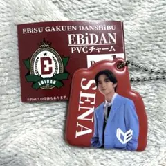 EBiDAN PVCチャーム ガチャ 竹野世梛