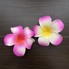 ハワイ　プルメリア　クリップ
