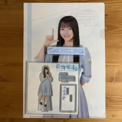 Item thumbnail for item 413b7f40-bfd1-4d0a-abea-abb89c345757